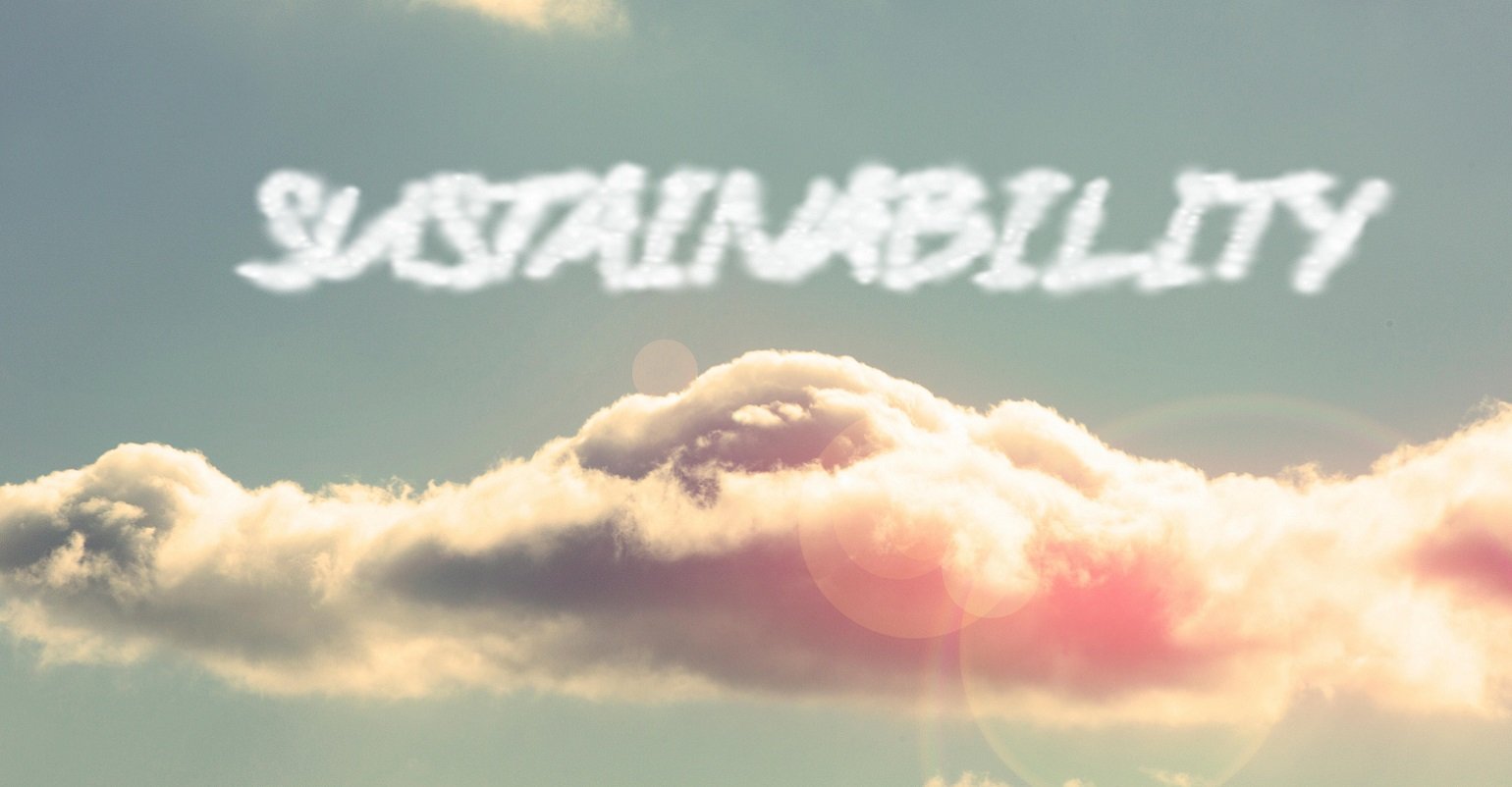 Cloud Computing Sustainability: How Green Is the Cloud?