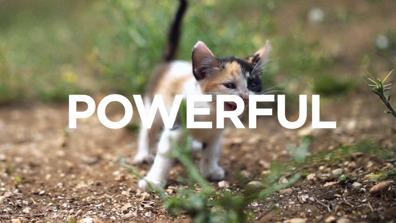 Read more about the article Why Lenovo ThinkStation P330 Tiny