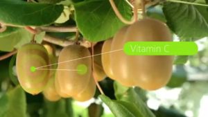 Read more about the article Customer story: Zespri