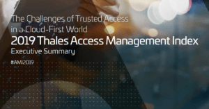 Read more about the article 2019 Access Management Index, Executive Summary