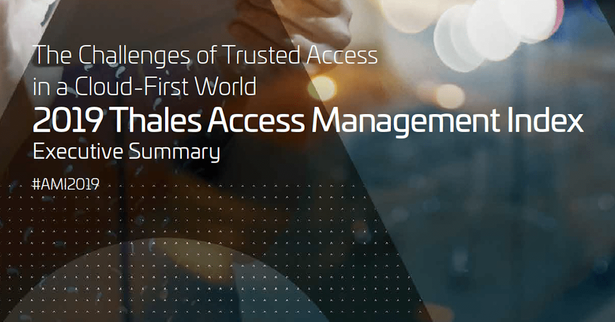 You are currently viewing 2019 Access Management Index, Executive Summary