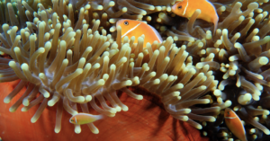 Read more about the article Smarter technology is turning deadly venom into potential medicine