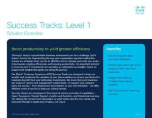 Read more about the article   Success Tracks: Level 1