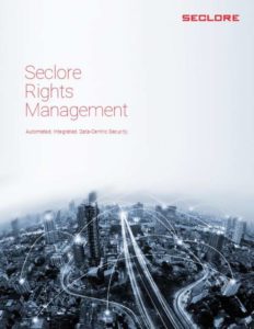 Read more about the article Seclore Rights Management