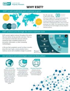 Read more about the article Why ESET?