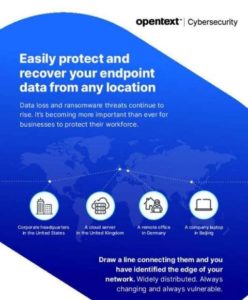 Read more about the article Carbonite Endpoint Backup Infographic