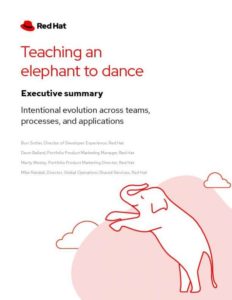 Read more about the article Executive Summary — Teaching an Elephant to Dance