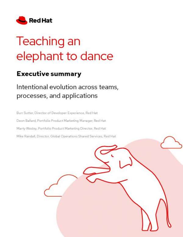 You are currently viewing Executive Summary — Teaching an Elephant to Dance