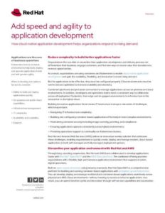 Read more about the article Add Speed and Agility to Application Development