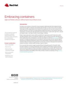 Read more about the article Embracing Containers