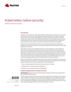 Read more about the article Kubernetes Native Security