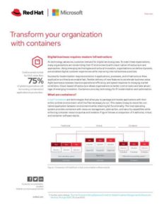 Read more about the article Transform your Organization with Containers