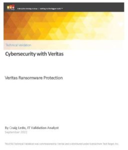 Read more about the article Cybersecurity with Veritas