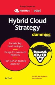 Read more about the article Hybrid Cloud Strategy for Dummies