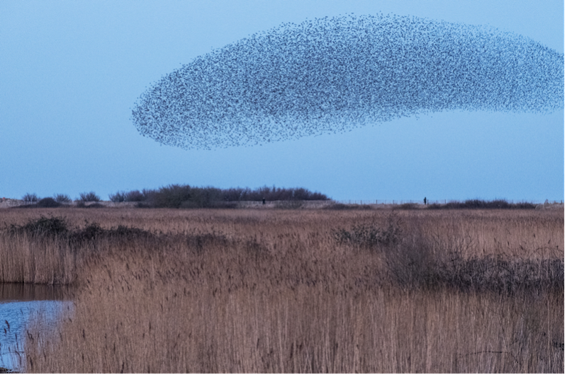 You are currently viewing HPE Swarm Learning: Increase Accuracy and Reduce Bias in AI Models