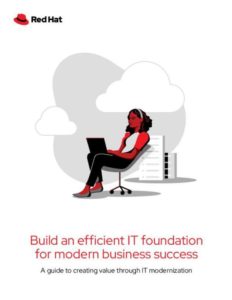 Read more about the article Build an efficient IT foundation for modern business success