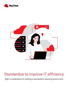 Read more about the article Standardize to improve IT efficiency