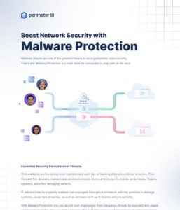 Read more about the article Boost Network Security with Malware Protection.