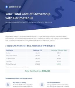 Read more about the article Your Total Cost of Ownership with Perimeter 81