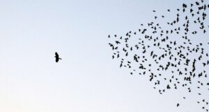 Read more about the article Why the future of AI hinges on trust