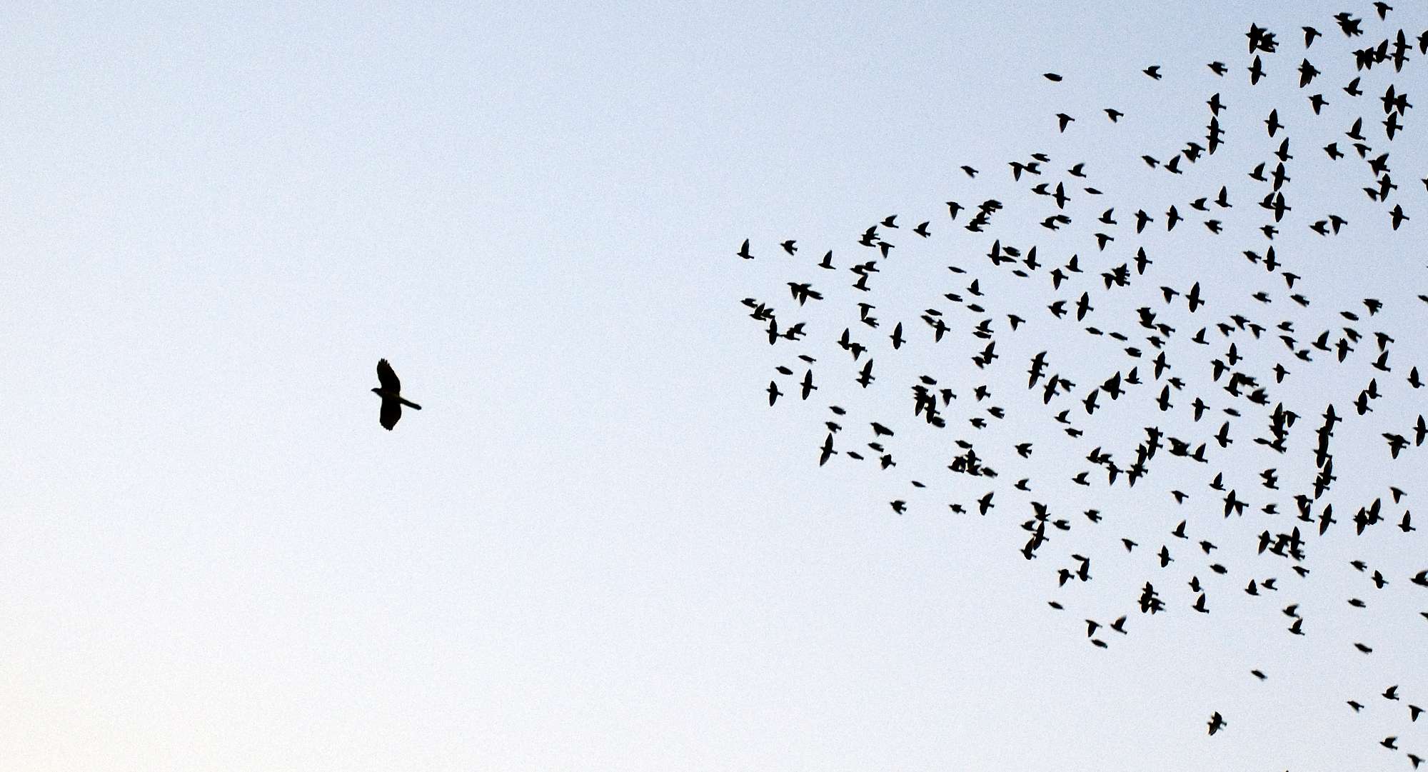 You are currently viewing Why the future of AI hinges on trust