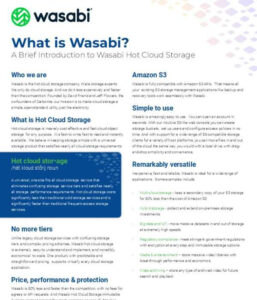 Read more about the article What is Wasabi