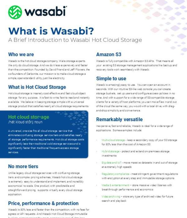 You are currently viewing What is Wasabi