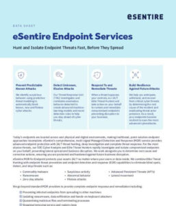 Read more about the article eSentire Endpoint Services