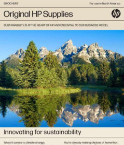 Read more about the article Innovating for sustainability