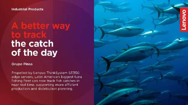 You are currently viewing Lenovo and Grupo Pinsa: A better way to track the catch of the day