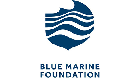 You are currently viewing Blue Marine Foundation saves time and money with automatic reporting in Dynamics 365 Business Central
