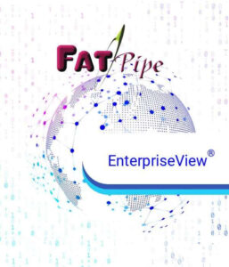 Read more about the article FatPipe EnterpriseView®