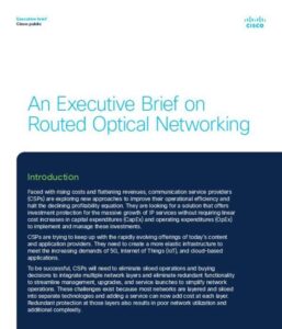 Read more about the article An Executive Brief on Routed Optical Networking