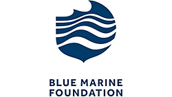 Read more about the article Blue Marine Foundation saves time and money with automatic reporting in Dynamics 365 Business Central | Microsoft Customer Stories