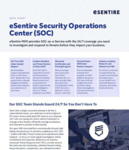 Read more about the article ds_SOC_1.pdf